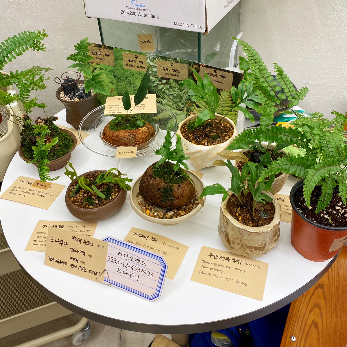 (블로그) 폿커밍데이 후기
naver.me/GHvYZ9tV 

9/5~9/8 저녁 폿 쇼룸에서 진행되는 '고사리의 밤'에 다녀온 후기입니다!