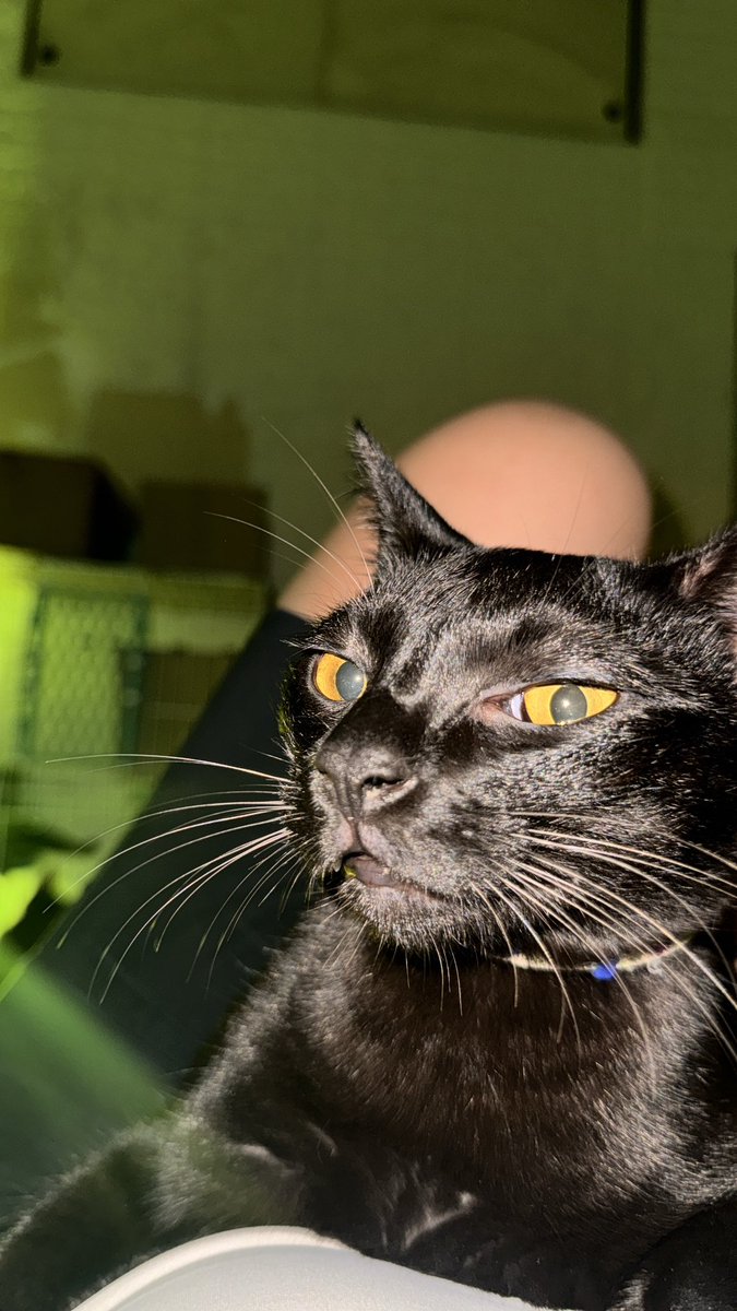 陈. (@yun__05266) on Twitter photo 