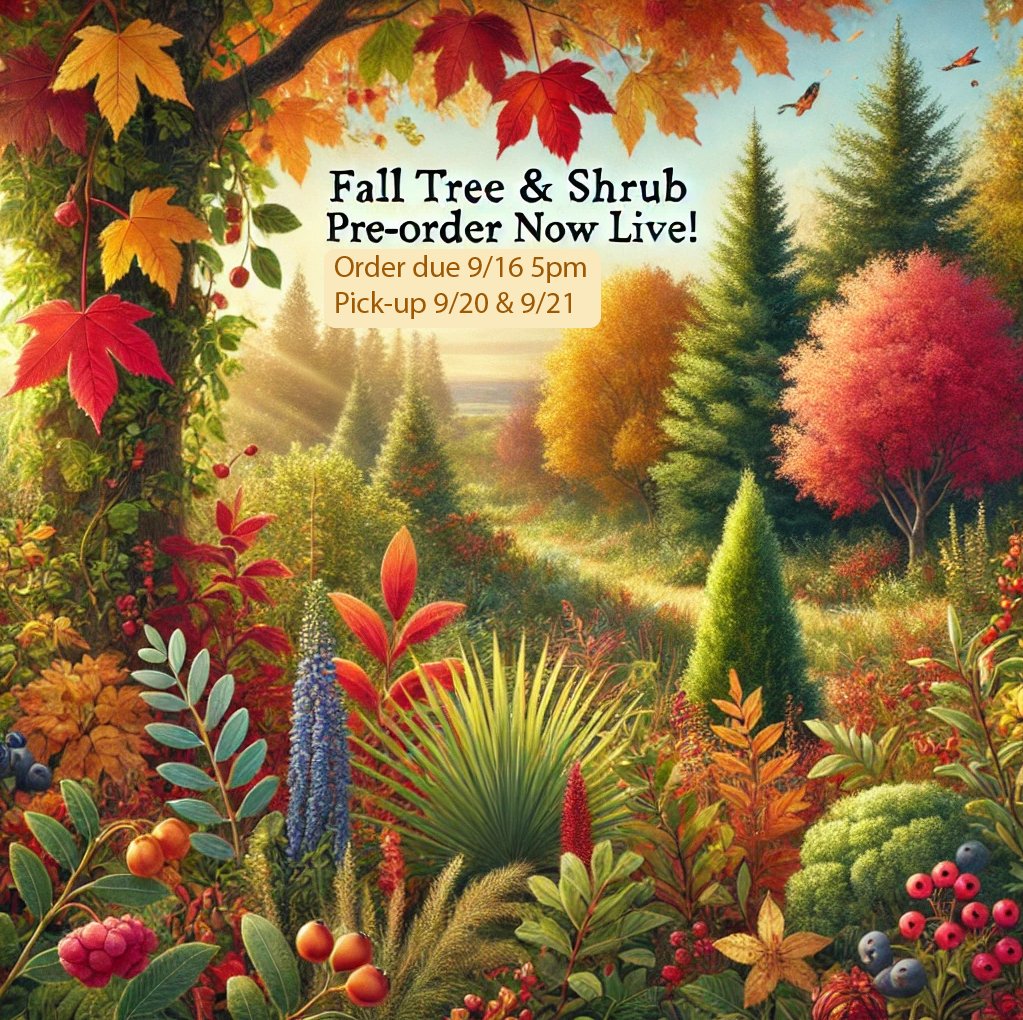 Our fall tree and shrub pre-order is now live at watermarkwoods.com! 🌳🍂 Order by 5 PM on 9/16 and pick up your selections on 9/20 or 9/21. With limited availability, don't wait to reserve your favorites! ⏳✨