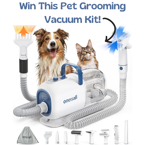 shopwithmemama's tweet photo. Enter to win a Pet Grooming Vacuum Kit! https://t.co/D2JY6RVXIg #pets #pet #animals #grooming #petgrooming #giveaway #contestalert #winit #sweepstakes #sweeps #petsupplies #groomingkit #petgroomingkit https://t.co/VltZWOLCeV