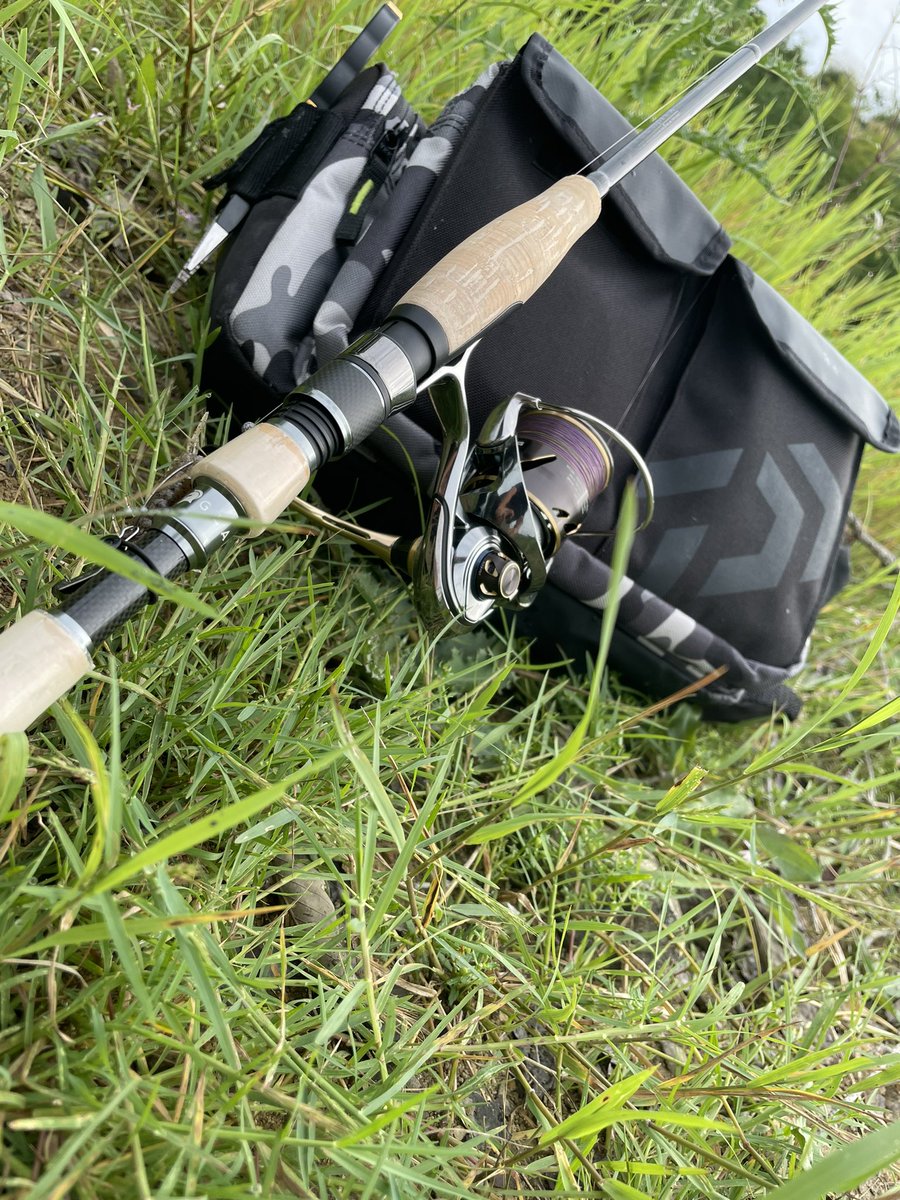 Raid_cha's tweet image. 朝活終了☀️

曇り☁️がいい感じです♪

5㌢  &amp;amp;   50㌢ でフィニッシュ‼️

秋🍂の感じで，魚🐟散ったな😔

きのこ発見💡🍄