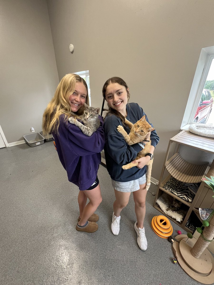 A fun afternoon at Blue River Pet Rescue! 🐾