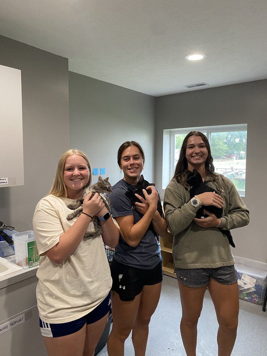 Concordia-NE WBB tweet media