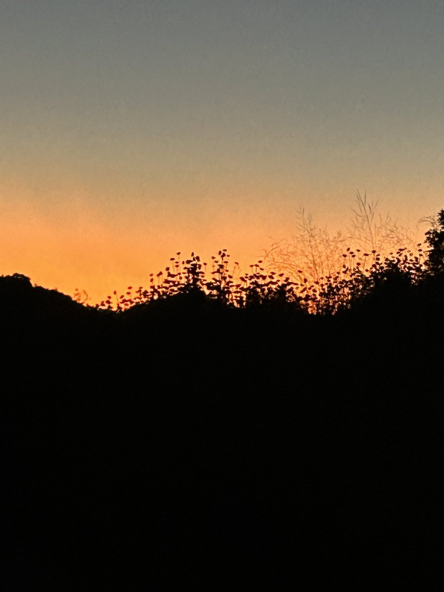 stuartkirsch's tweet image. May the calm of the Sabbath bring us all closer to peace and to wholeness. Let us heal our broken world from love. #ShabbatShalom.