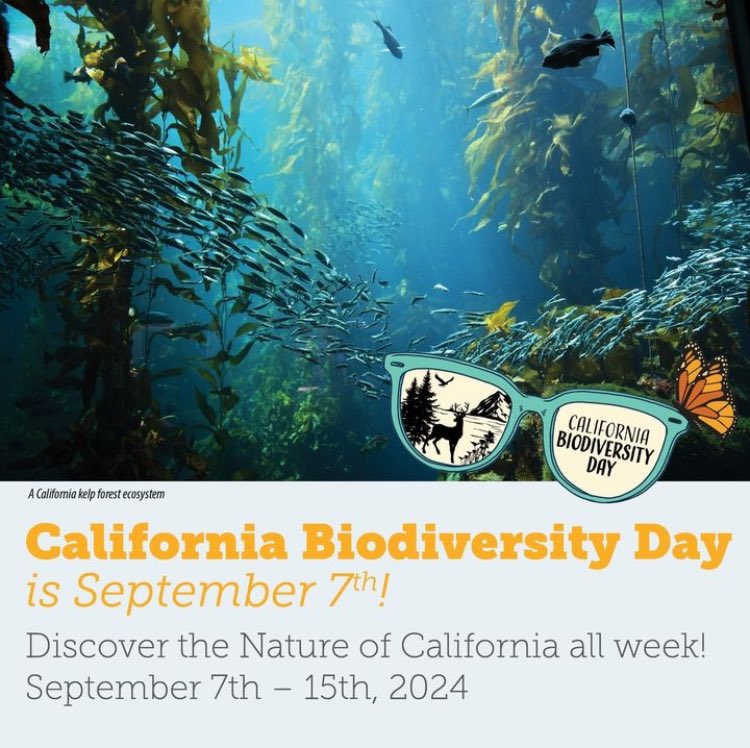 Kick off #California #BiodiversityDay with us tomorrow!

Explore marine ecosystems, desert sunsets, and more this week during many of our statewide events! Link in bio for a full list of events!