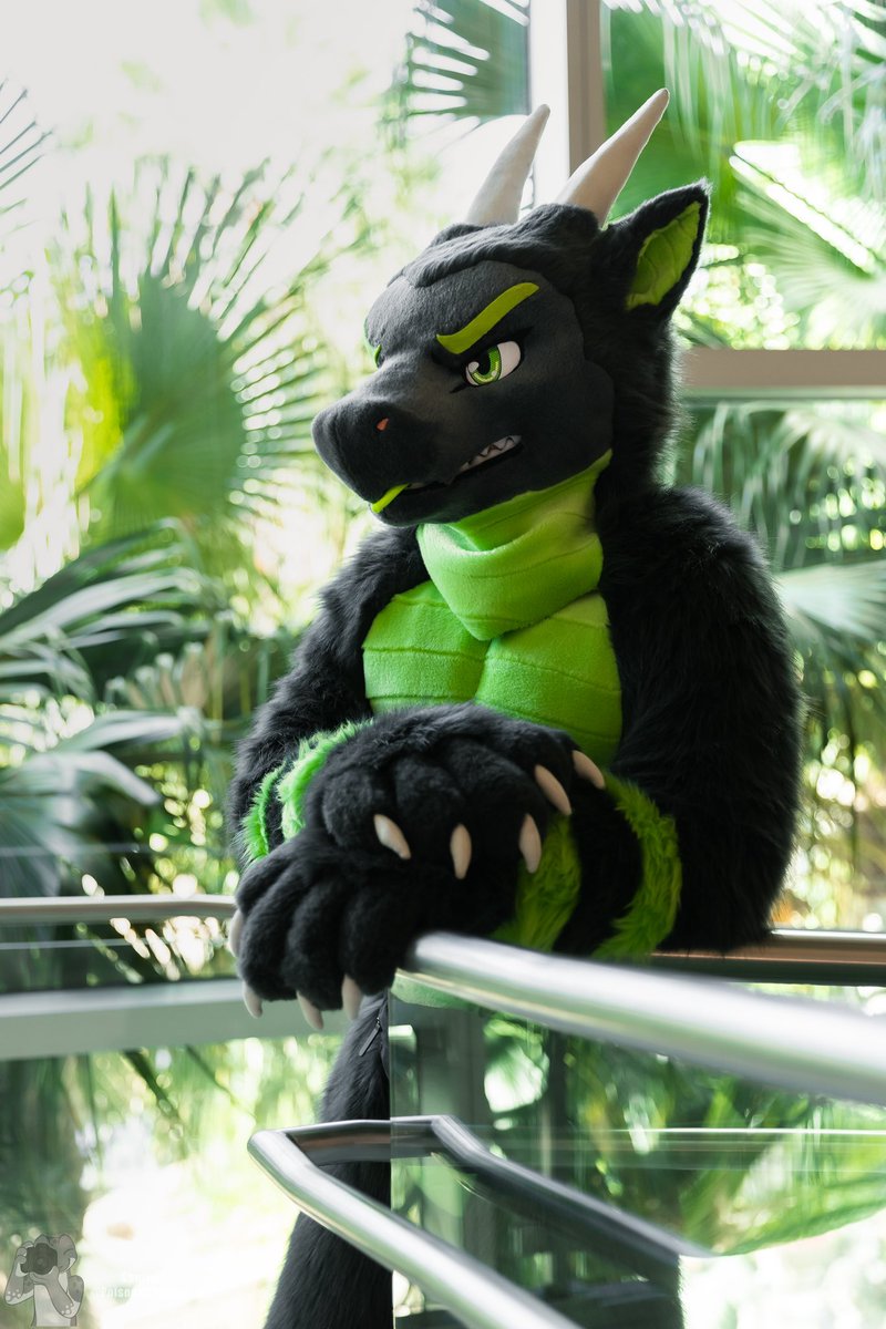 Sorry i’ve been gone y’all!

A dragon’s gotta live his best life!

📸 - <a href="/PoisonedShutter/">Shutter</a>
🪡 - <a href="/kigurumikagetsu/">きぐるみ花月/Kigurumi Kagetsu</a>

#FursuitFriday #Megaplex2024