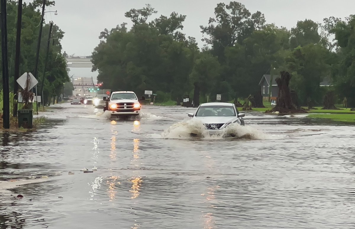 Misty Leigh McElroy tweet media