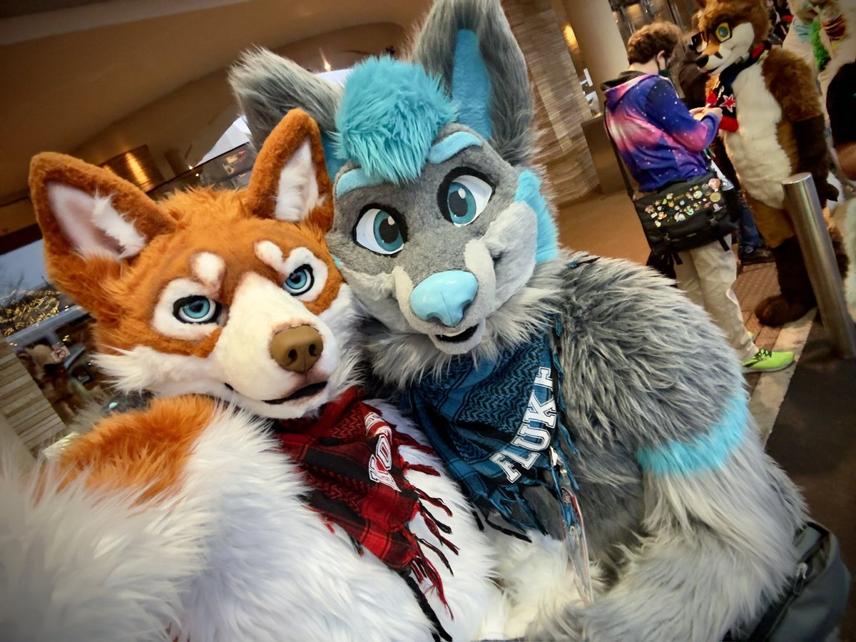 The best husbandog a wolf could ask for 🩵
Furry couples bring me joy! Feeling the love this #FursuitFriday 🥰