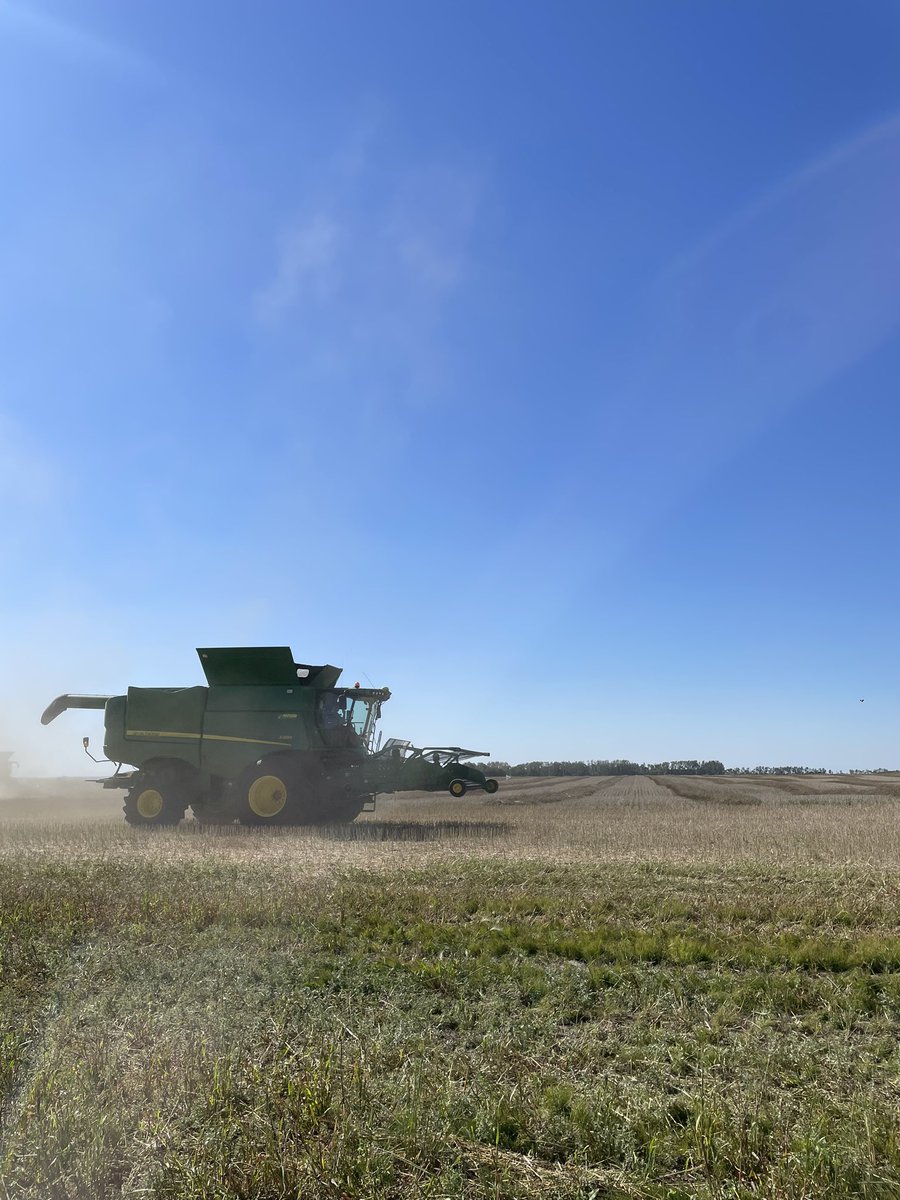 A great afternoon harvesting our first canola trial in the territory! 

<a href="/lexieyoung01/">Lexie Young</a> 
<a href="/DEKALB_Canada/">DEKALB Canada</a> 
<a href="/Bayer4CropsCA/">Crop Science Canada</a> 
#Harvest24
#TeamBayer