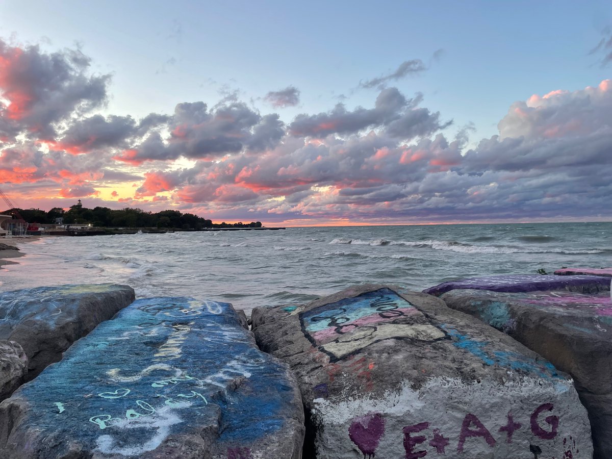 Diane Wayne, MD tweet media