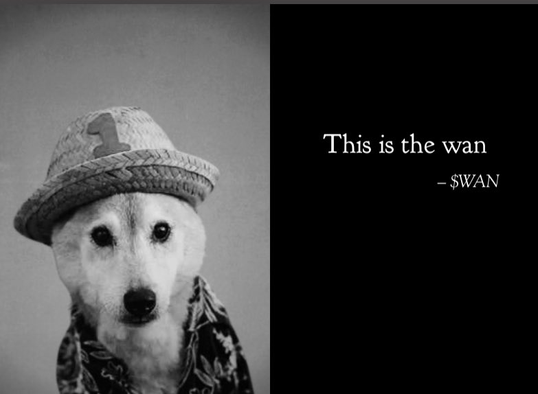 TraderJG_'s tweet image. nigga $WAN