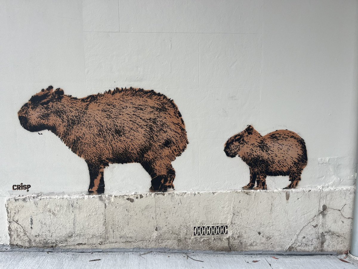 Saturdays in our beautiful City of Sydney! #publicart