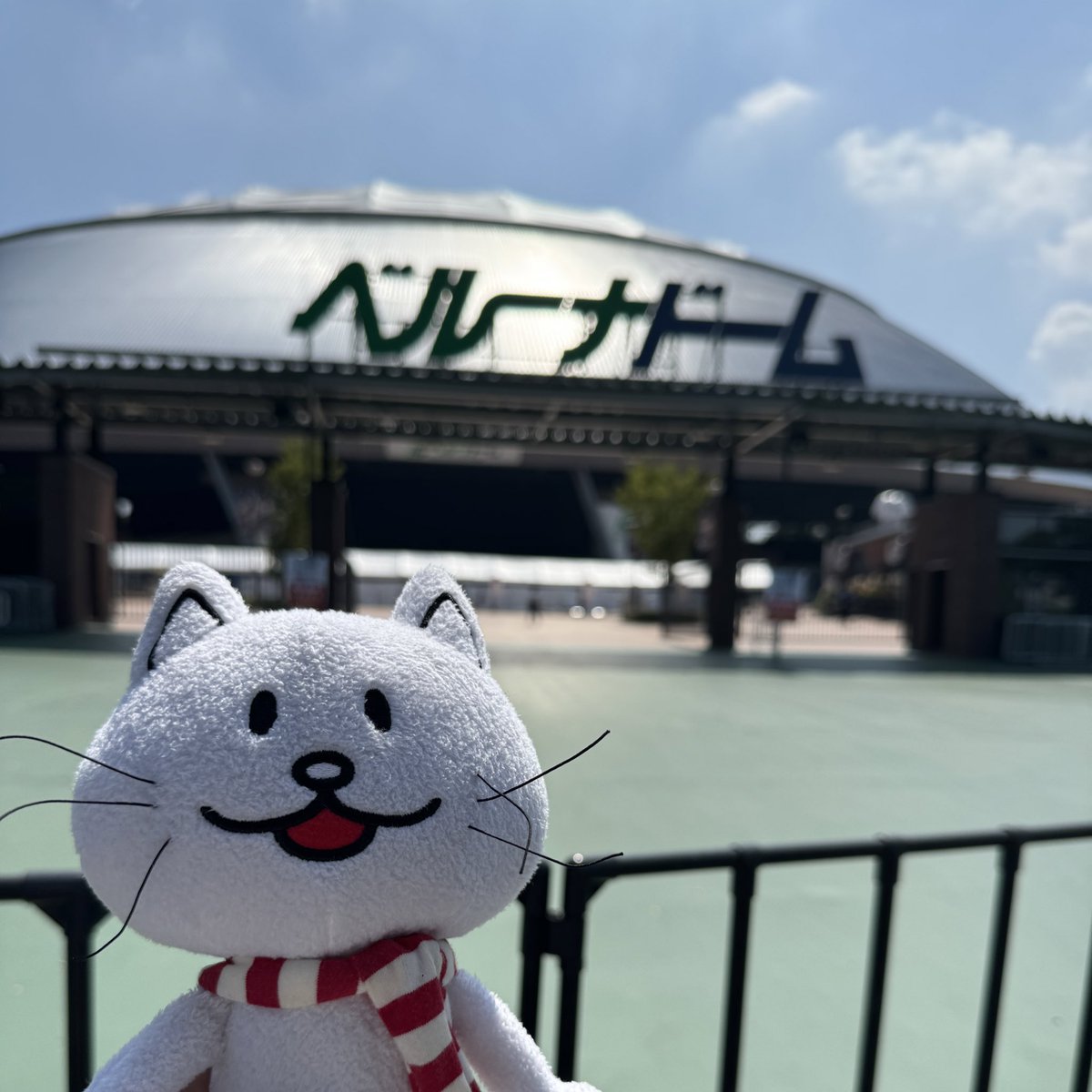 daiki_daiku's tweet photo. #BUMPOFCHICKEN 
#SpheryRendezvous https://t.co/DTrG5zZrV9