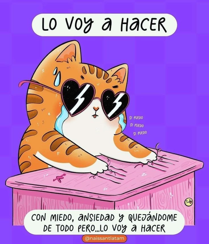 marisolmier's tweet photo. Jiji https://t.co/dYHX8mfj3o