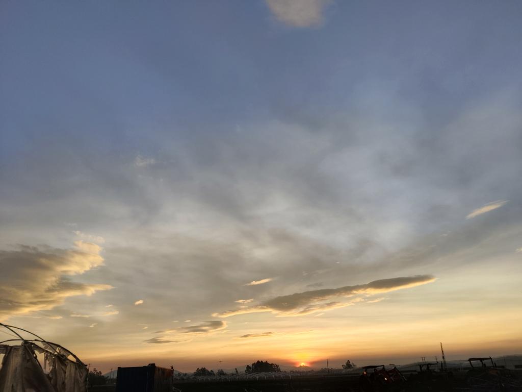 JRodrigud's tweet image. 