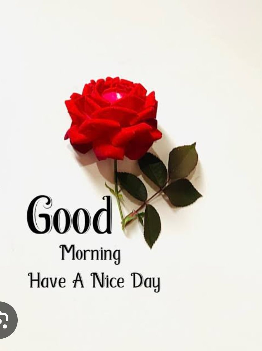 Saniya_Educated's tweet photo. https://t.co/00C7f6WEva