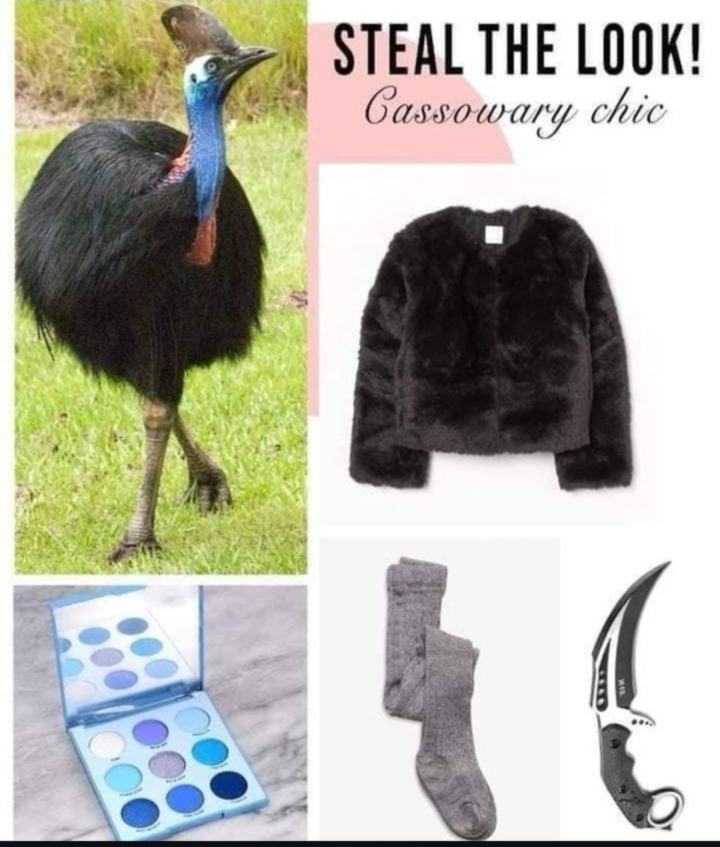 Preciosa_Liz's tweet image. #NoTimeFor shopping