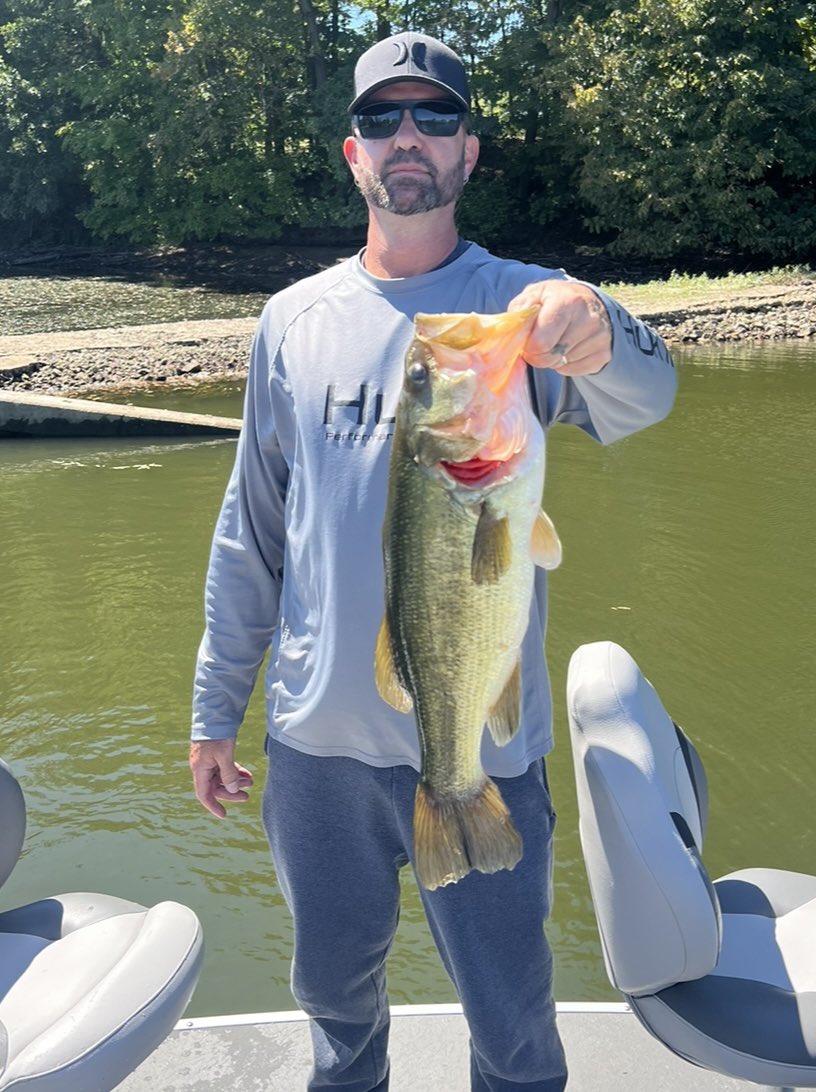 4stringbaseman's tweet image. 