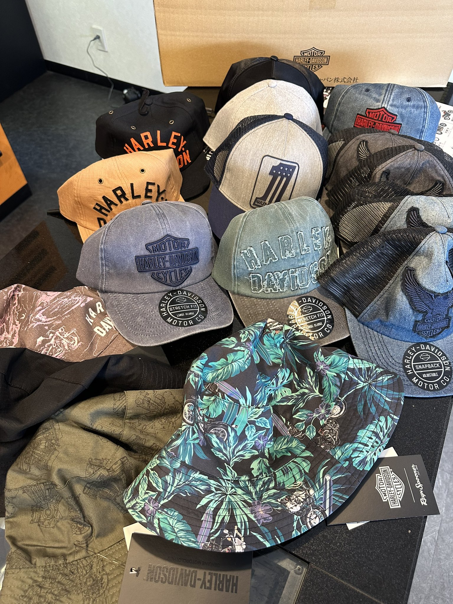 ハーレーロンt - Cerca / X