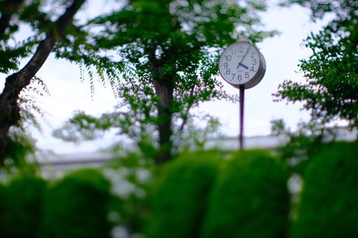 inao_toshiaki's tweet image. WAIKIKI PHOTOGRAPH
clock , fujifilm xe4 with ttartisan50mmf14tilt
#clock 
#fourfive 
#setagaya 
#世田谷 
#三軒茶屋 
#sangenjaya 
#fujifilmxe4 
#ttartisan50mmf14tilt 
#aps 
#フジフィルムxe4 
#waikiki_inc_photograph