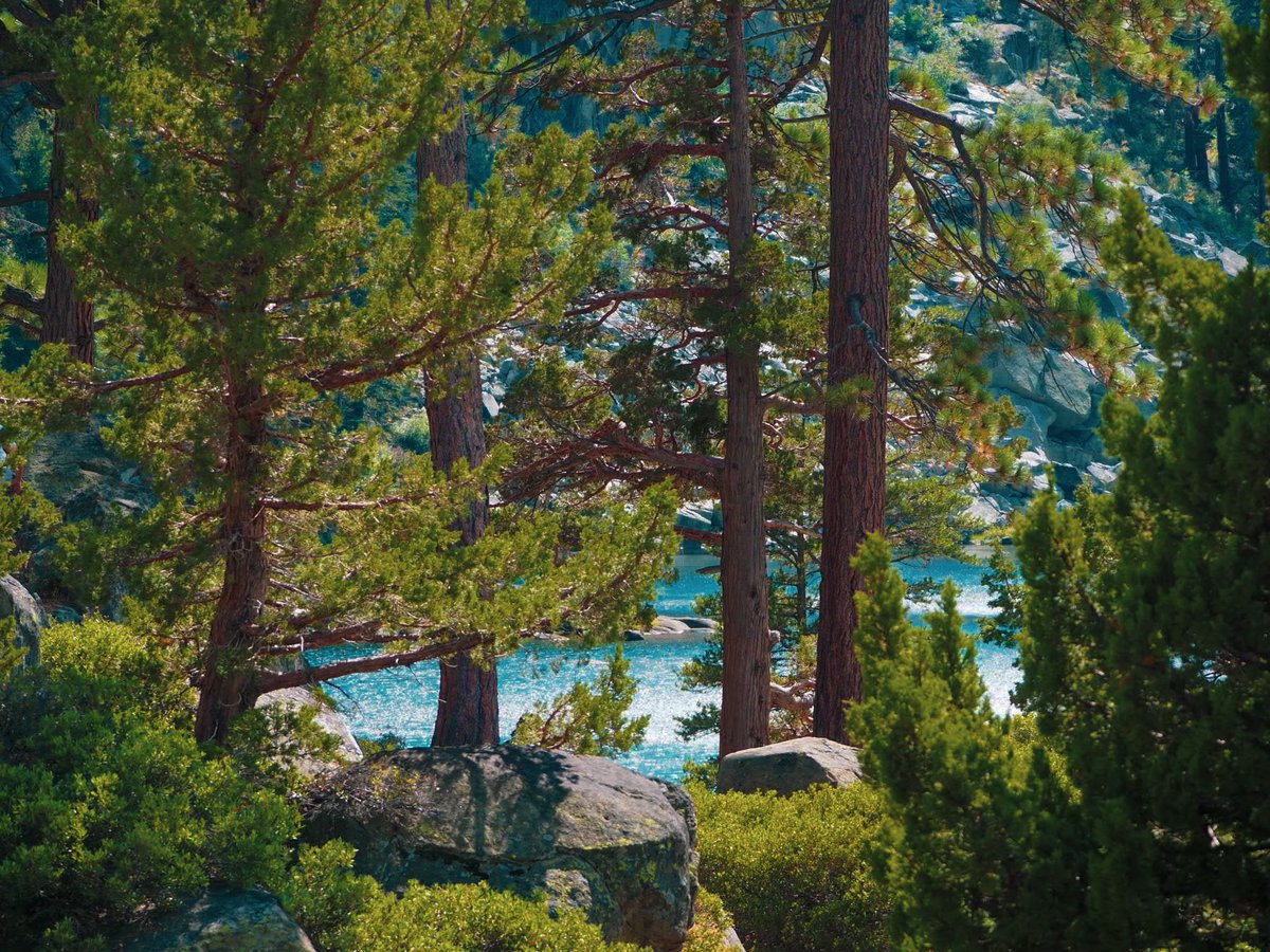 📍 Tahoe Lake (South &amp; North)