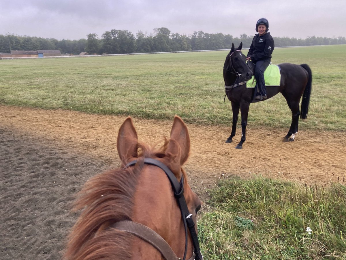 JohnWathenBerry's tweet photo. It’s going to be hard for the sun to break through this morning @NewmarketGallop but it’s warm, dry & still. 16 degrees at daybreak; currently 17; forecast high 23 #HiddenPearl #Eljaytee https://t.co/6pwYmzyFZt
