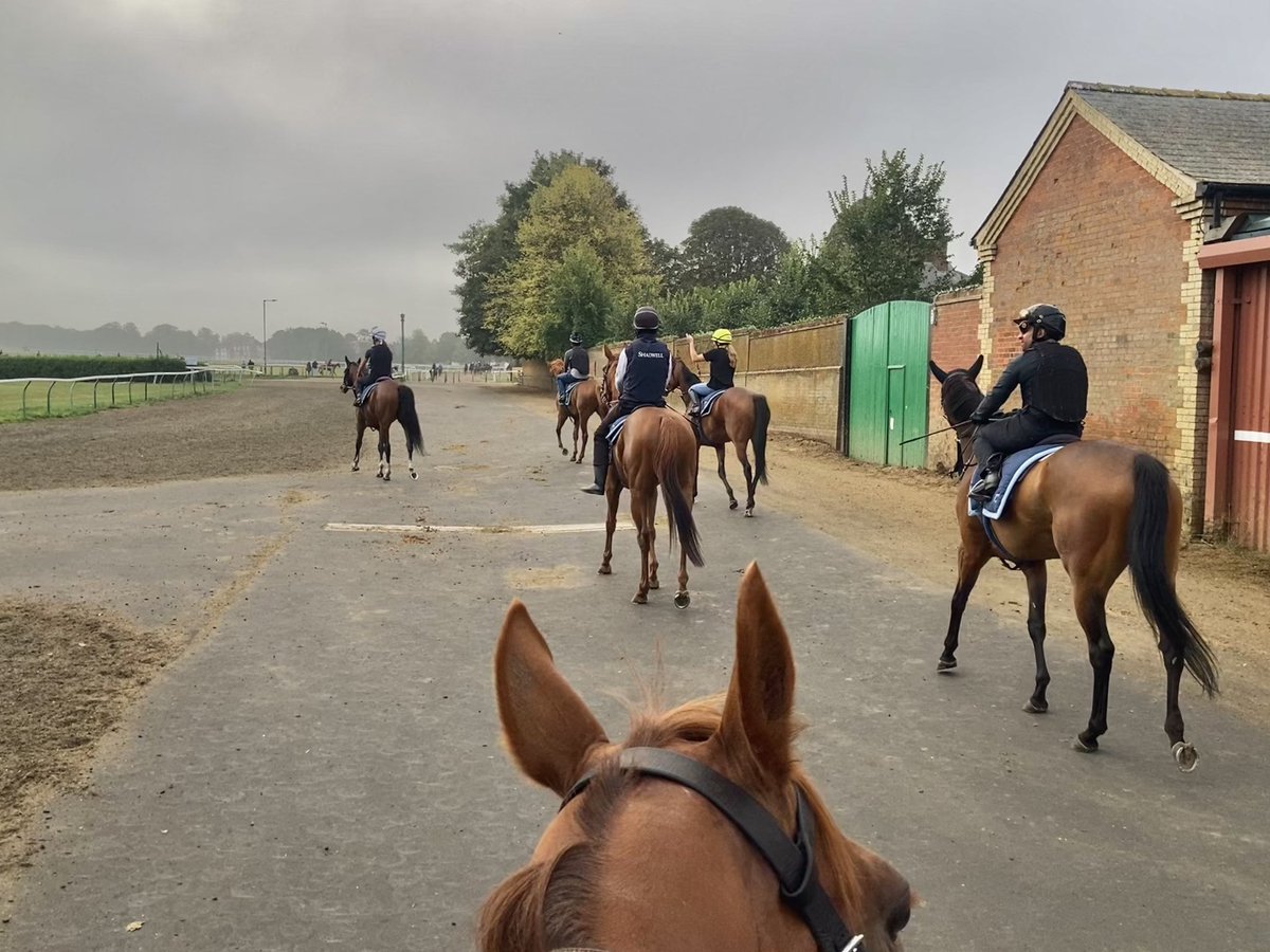 JohnWathenBerry's tweet photo. It’s going to be hard for the sun to break through this morning @NewmarketGallop but it’s warm, dry & still. 16 degrees at daybreak; currently 17; forecast high 23 #HiddenPearl #Eljaytee https://t.co/6pwYmzyFZt
