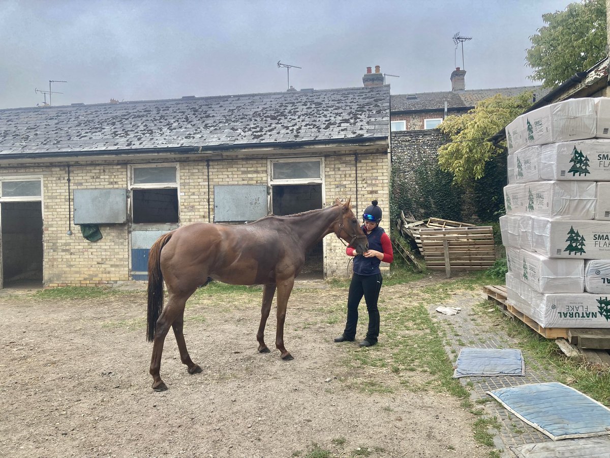 JohnWathenBerry's tweet photo. It’s going to be hard for the sun to break through this morning @NewmarketGallop but it’s warm, dry & still. 16 degrees at daybreak; currently 17; forecast high 23 #HiddenPearl #Eljaytee https://t.co/6pwYmzyFZt