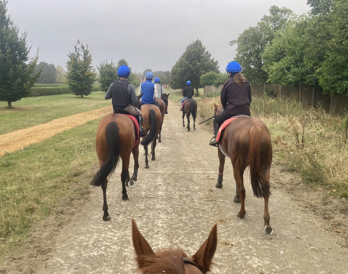JohnWathenBerry's tweet photo. It’s going to be hard for the sun to break through this morning @NewmarketGallop but it’s warm, dry & still. 16 degrees at daybreak; currently 17; forecast high 23 #HiddenPearl #Eljaytee https://t.co/6pwYmzyFZt
