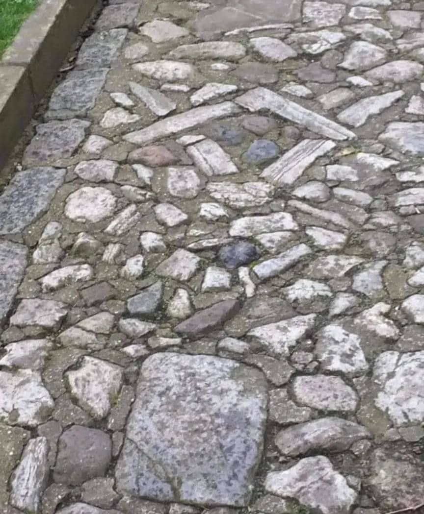 ◬ F. BR1 Ⓜ️Ⓜ️ tweet media