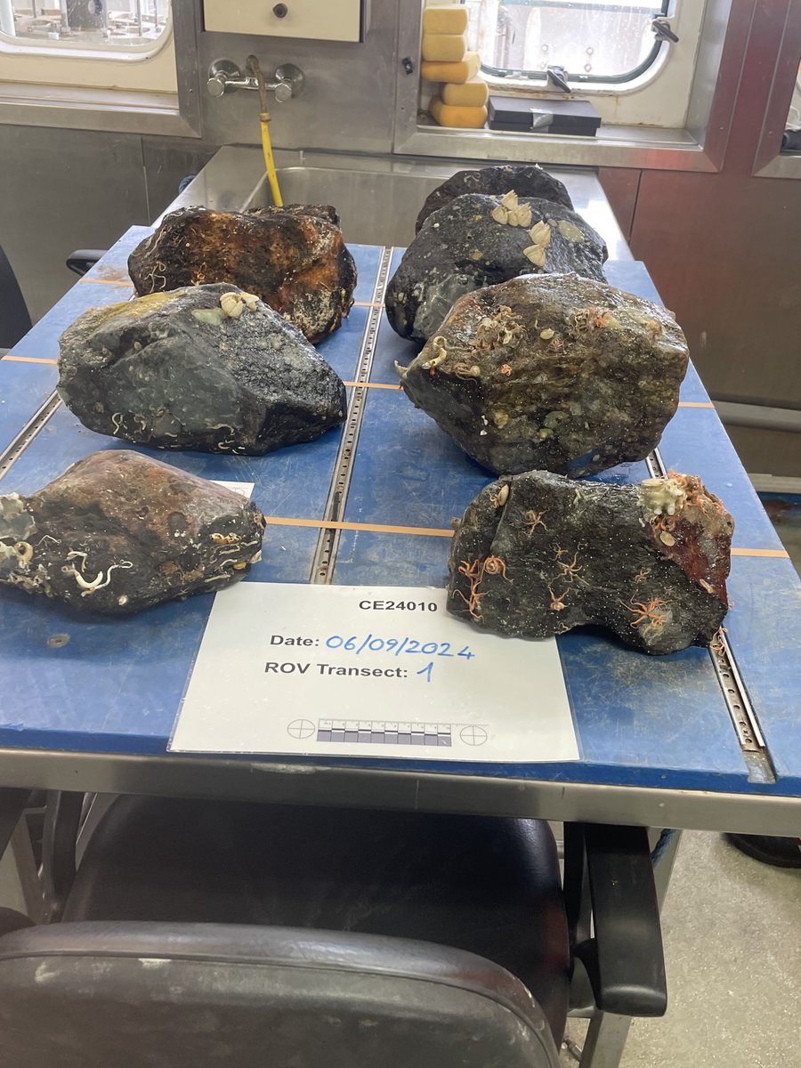 PORO-CLIM tweet media