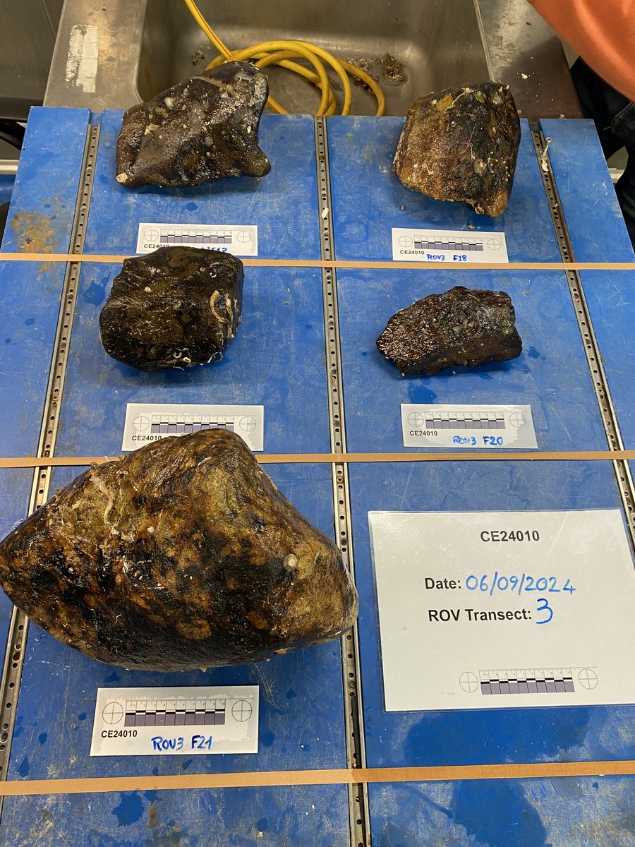 After 3 successful ROV dives, we’ve collected three batches of samples! Now, it's time to head to our next location. 🌊🔬