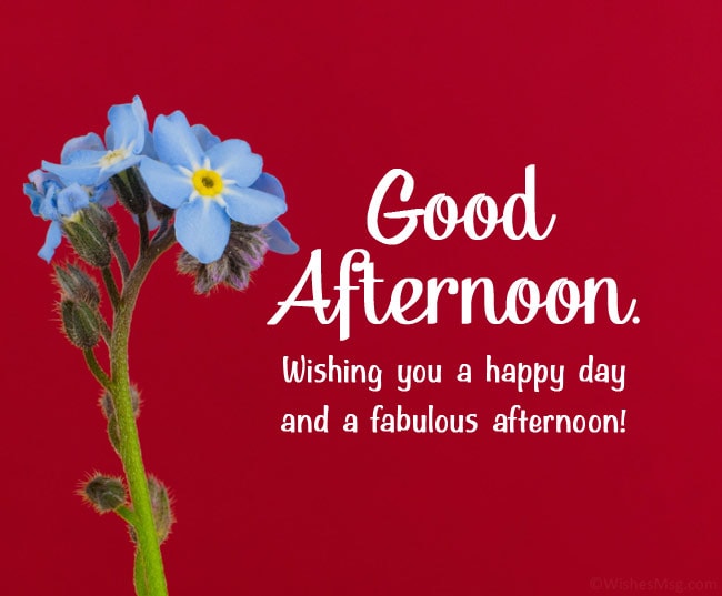Sending you sunshine and smiles to brighten up your afternoon. 
Wishing you a happy day and Fabolous Good afternoon 

Assalamualaikum ✨ 
Imran Khan zindabad 
Pakistan Paindabad 

#PTI_Followers