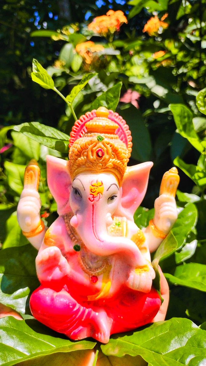 BhaswatiPathak8's tweet photo. वक्रतुण्ड महाकाय सूर्यकोटि समप्रभ । निर्विघ्नं कुरु मे देव सर्वकार्येषु सर्वदा ll
शुभ गणेश चतुर्थी https://t.co/Vw5FAg822z