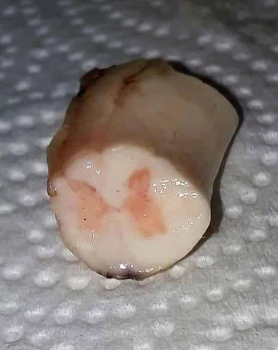 Waleed Tariq tweet media