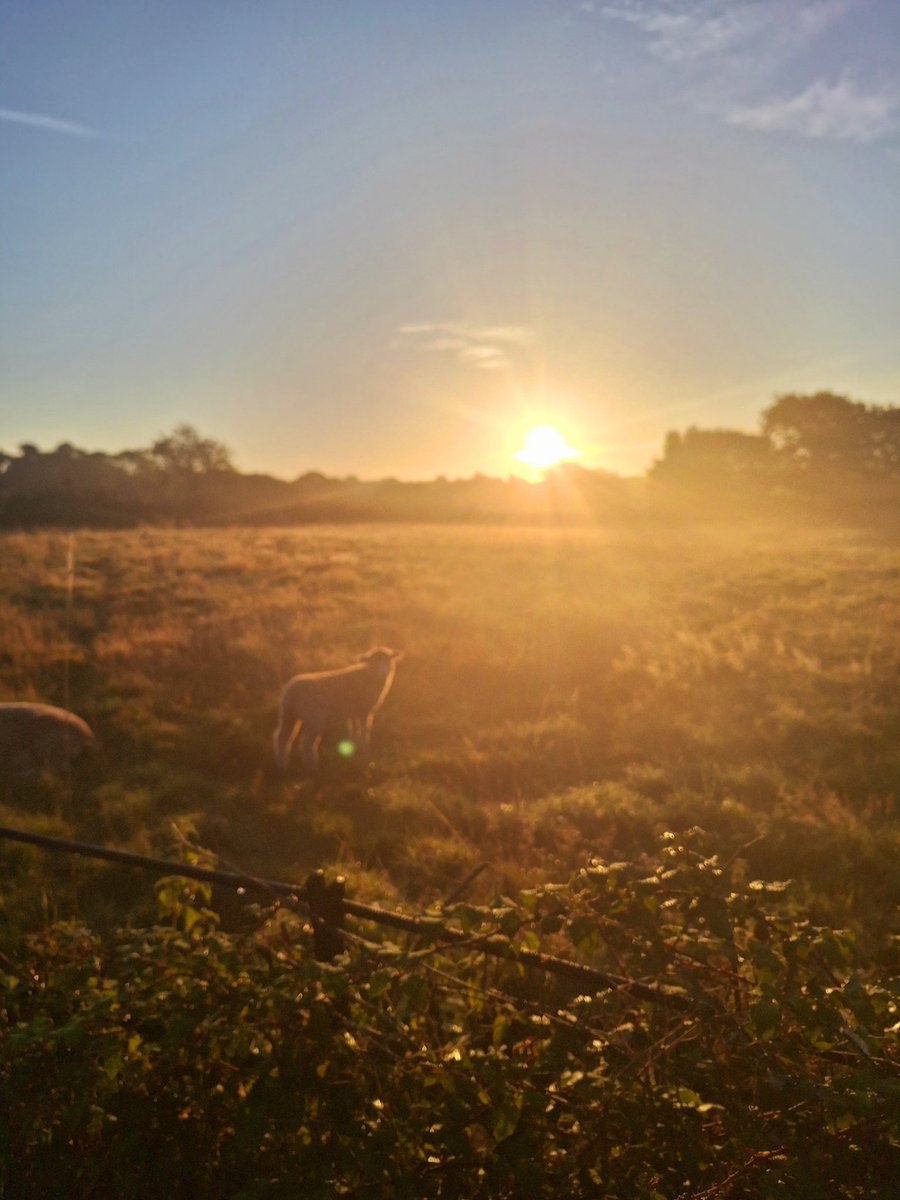What a beautiful morning as we say goodbye to the school summer holidays and back to work again. 
Hope you've had a good summer?