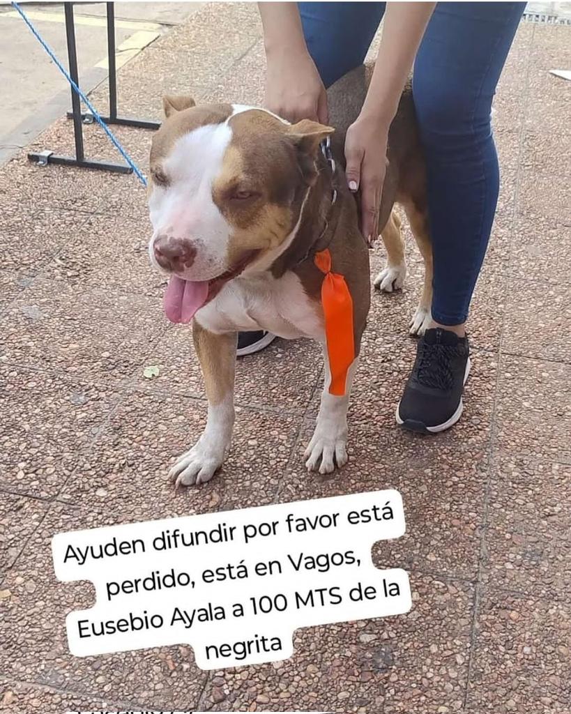 Maria Elena Ojeda tweet media