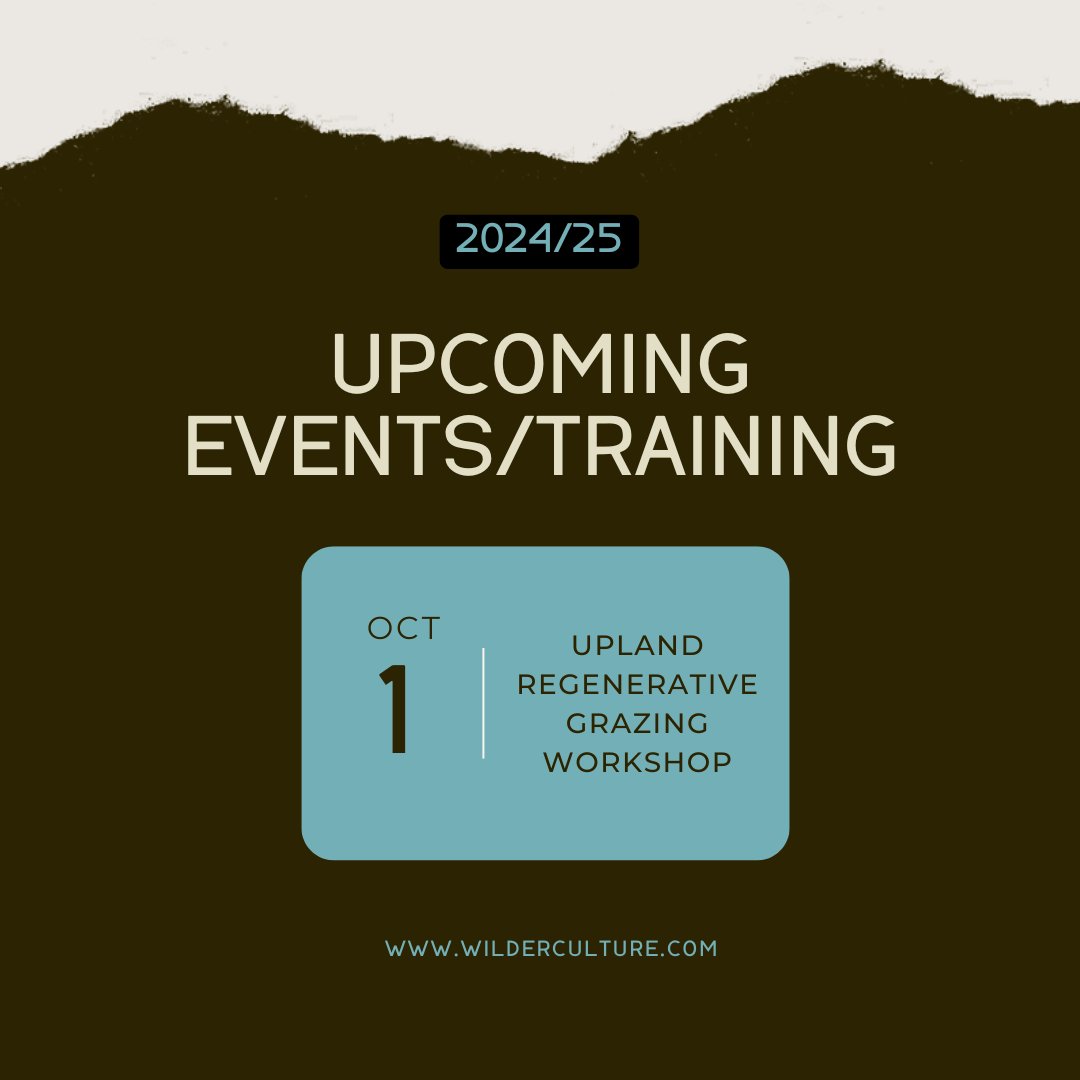 Learn why a ‘whole system’ approach to regenerative grazing is most successful. Join us at Upland Regenerative Grazing 1-day Workshop - Gowbarrow Hall Farm, Cumbria. wilderculture.com/event/upland-r…