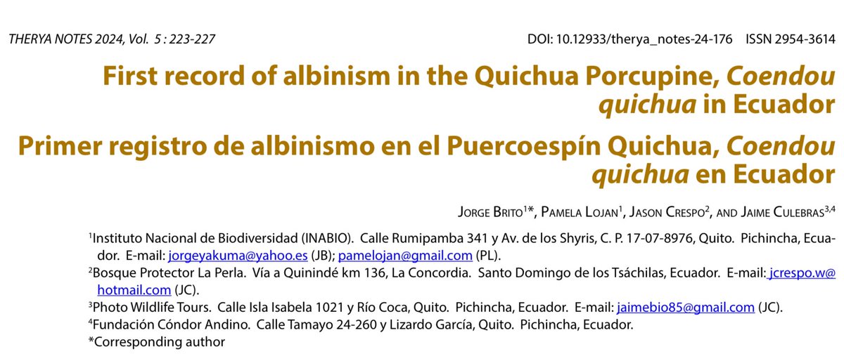 En un trabajo liderado por el maestro de los roedores <a href="/JorgeBritoM/">Jorge Brito</a> y junto a Pamela Lojan y Jason Crespo, acabamos de publicar esta bonita nota de albinismo en un Puercoespín Quichua en Ecuador.
Link: mastozoologiamexicana.com/ojs/index.php/…