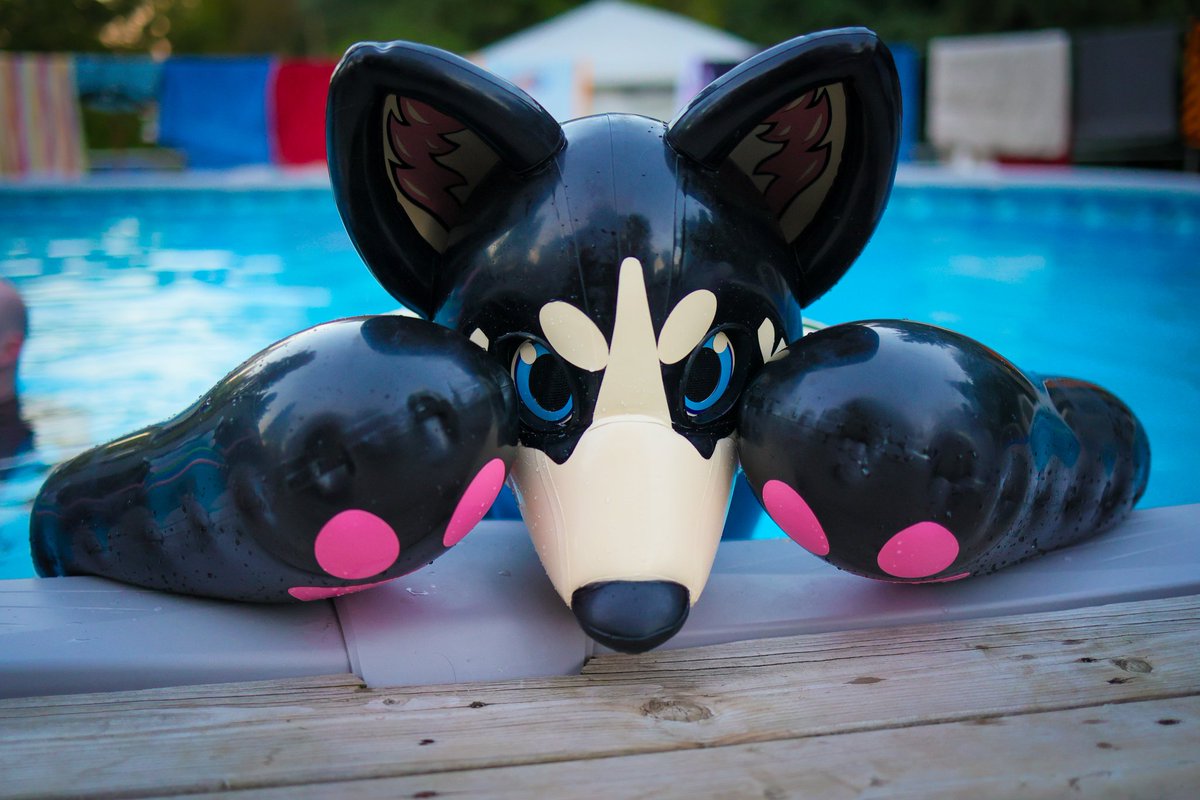 Life's just easier when your head is filled with air ~

Hood by <a href="/karinKariwanz/">Karin / Kariwanz カリン / カリわんズ</a> 
Paws by <a href="/RubberPaws/">Rubber Paws</a> 

📸: <a href="/AceSkullDog/">Bsky: zangos.place</a>