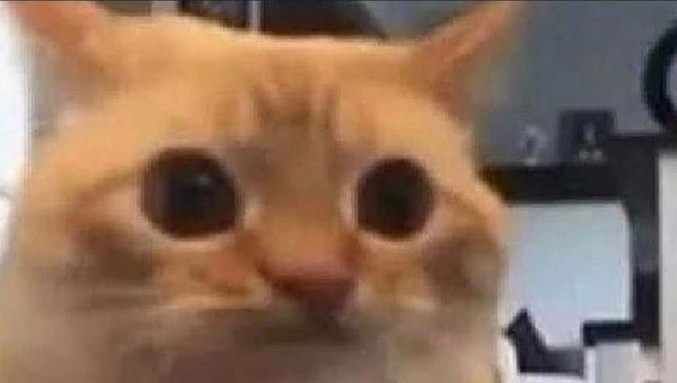 ᅟ 
ᅟ
ᅟ ( cada vez que se asoma hay un idiota al que le provoca matar. . .  )

ᅟ —