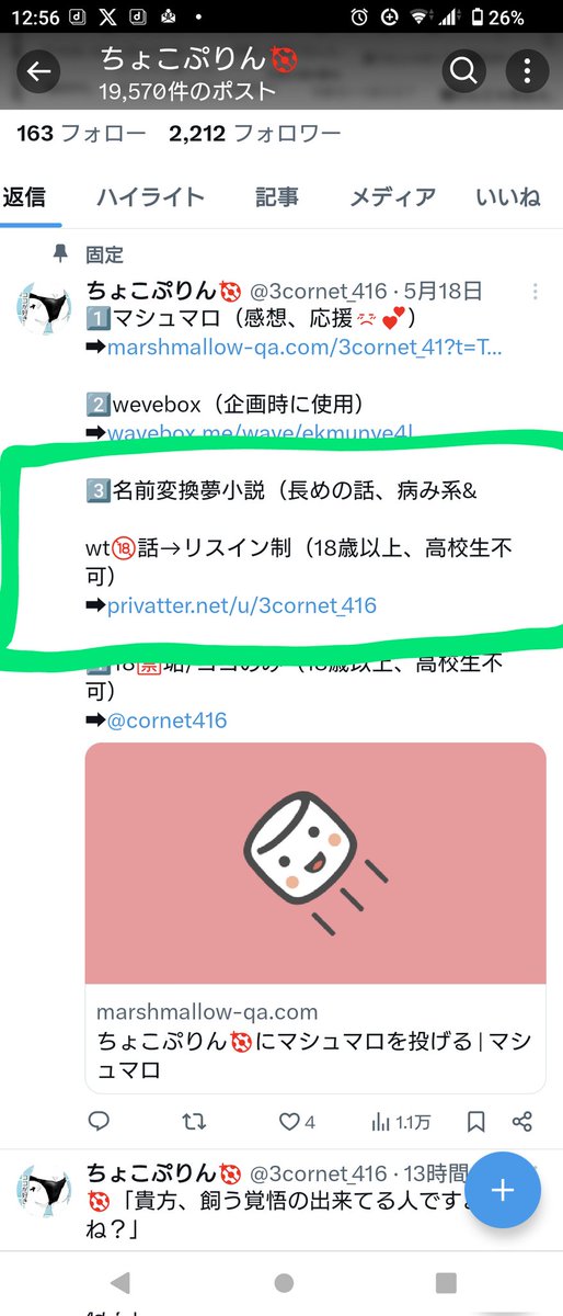 ちょこぷりん🐞 tweet media