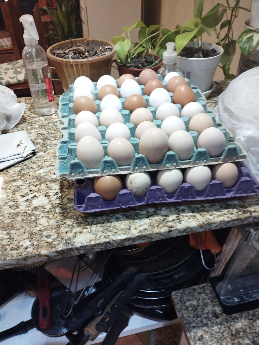 Para los radicales que hece poco querian un cambio local y ahora se olvidaron y van por una lista de integridad que va a salvar al partido. Les falta eso.