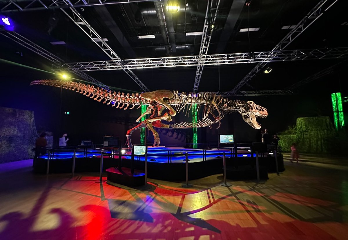 SandraAmorosi's tweet photo. Loving the dinosaur exhibits at Melbourne Museum 🩷 #victoriatrex #triceratops #dinosaurs https://t.co/Kd1cA3mbMo