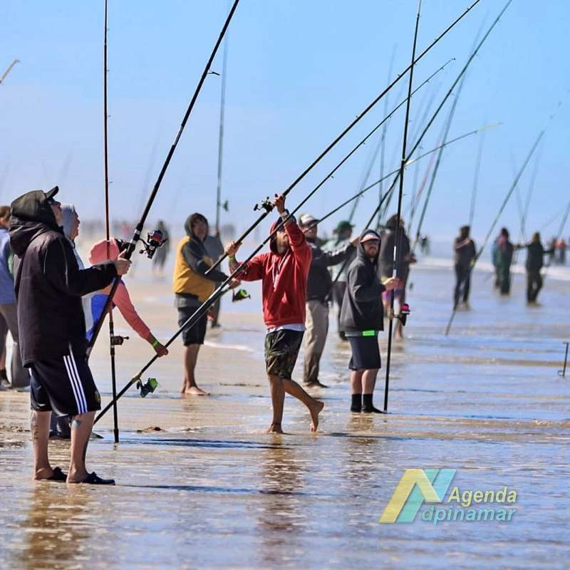 dpinamar's tweet photo. 🟡 Cronograma de la Fiesta de la Pescadilla en Pinamar este finde, el tradicional concurso de pesca que en este 2024 reparte más de 20 millones pesos en premios. Contará con patio de comidas y shows en vivo.
.
💯 Encontrá los detalles en: https://t.co/Zc0lrcEMWI https://t.co/A7j8aA5azw