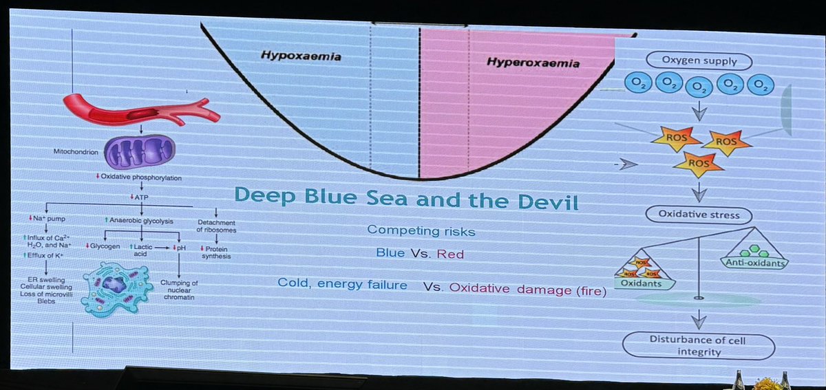 ChinSeng_Gan's tweet photo. Truly impressed with the work accomplished by Prof Mark Peters @pus27 and his team in oxy- PICU. It is a privilege to listen and be enlightened to listen him in #ASMIC #pedsicu https://t.co/FtJKUyyGK2