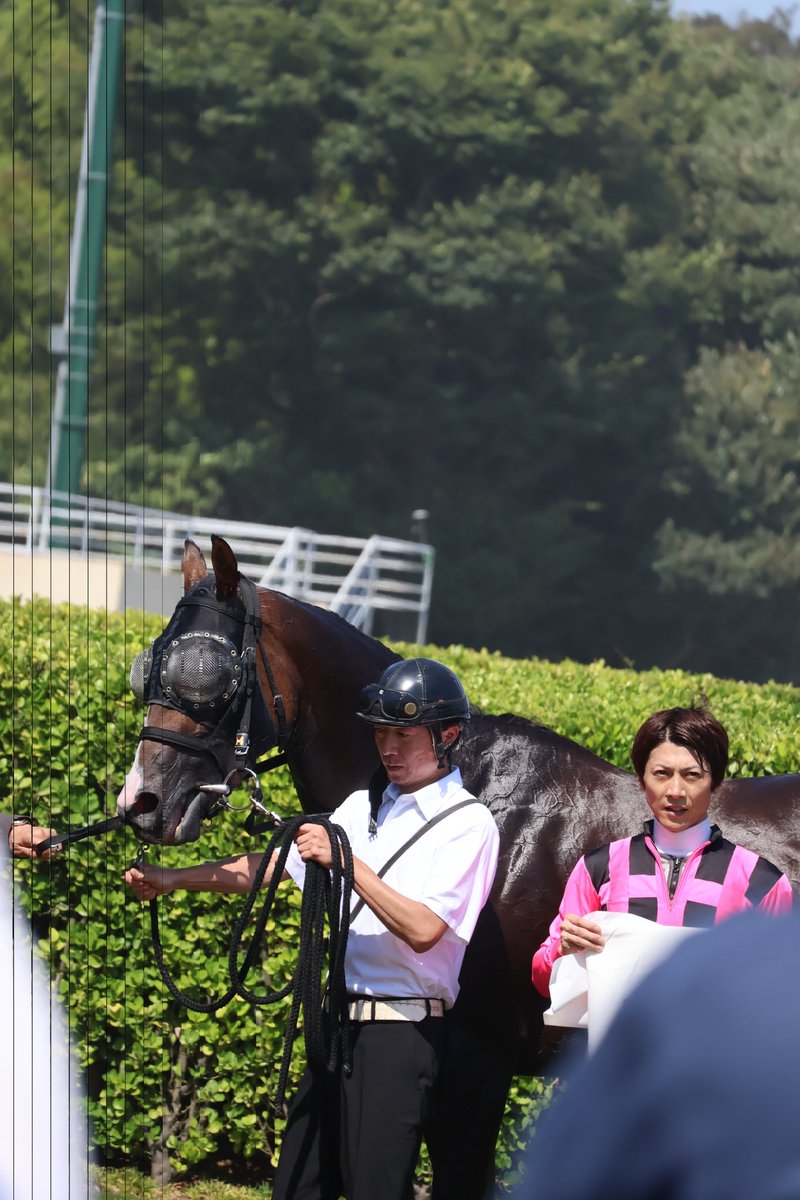 furabecamera's tweet photo. 中山6R

#オーブルクール
#石橋脩 https://t.co/R7zy0JtDai