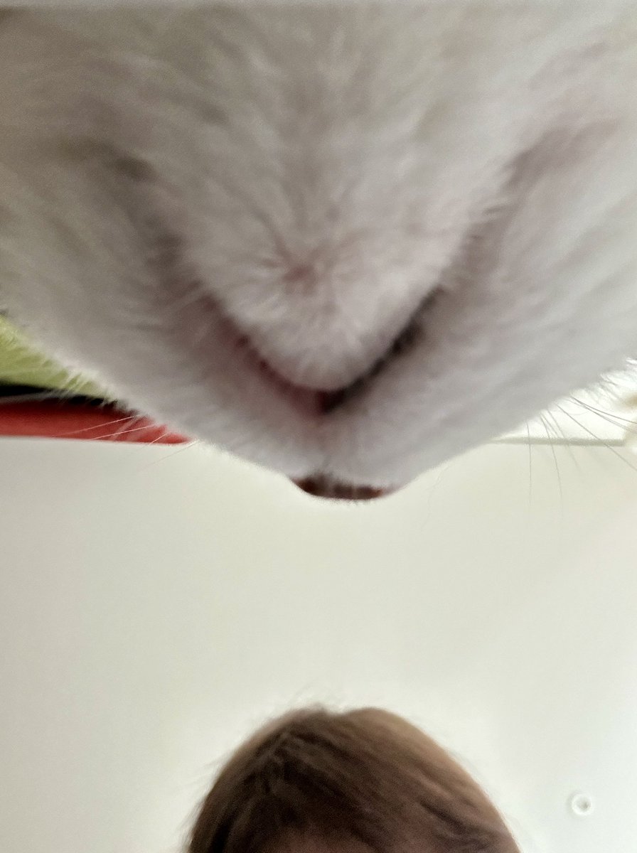 桜井 政博 / Masahiro Sakurai (@sora_sakurai) on Twitter photo 