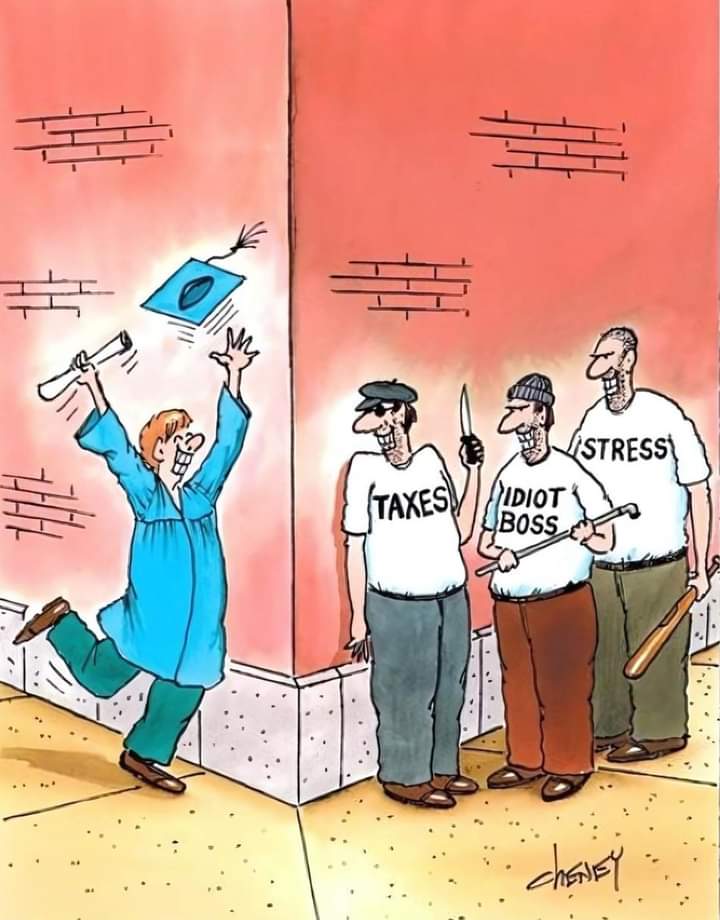 Sipun tweet media
