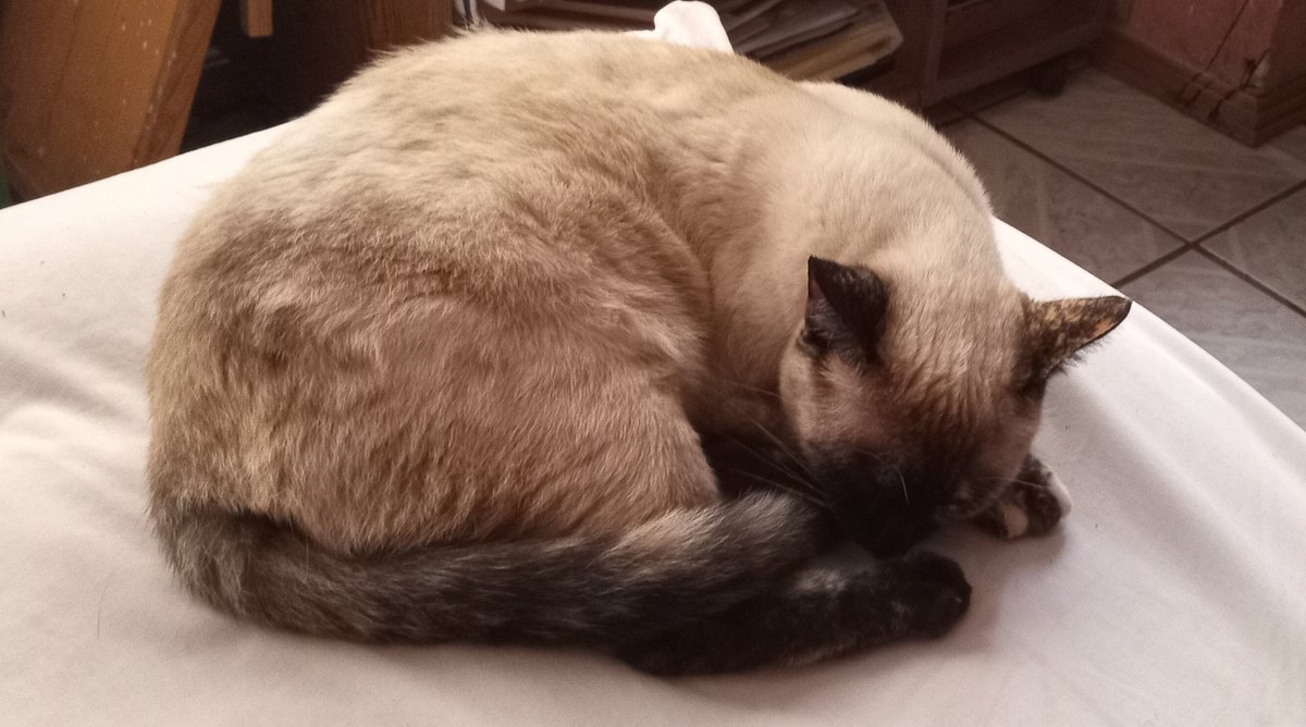 Kpakpaxe (@julswehh) on Twitter photo 